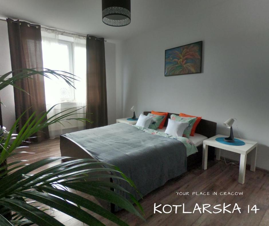 Kotlarska * Krakow